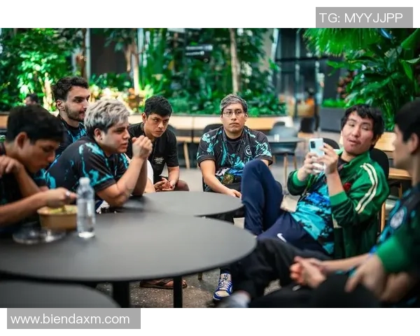 TES战术解析：深度剖析DOTA2进攻体系的核心策略与执行方法