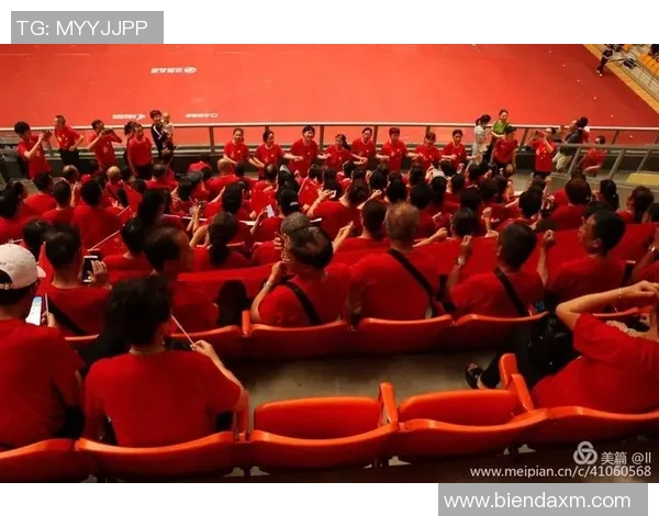 国际邀请赛中TES团队协作表现分析与评价实时新闻